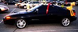 CELICACW01.JPG