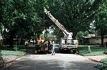 lightpole110.JPG