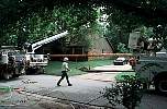lightpole112.JPG