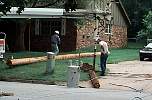 lightpole127.JPG