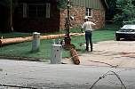 lightpole128.JPG