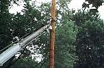 lightpole137.JPG