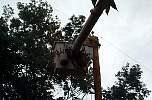 lightpole153.JPG