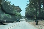 cali103.JPG