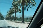 cali104.JPG