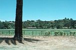cali105.JPG