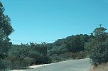 cali117.JPG