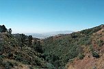 cali118.JPG